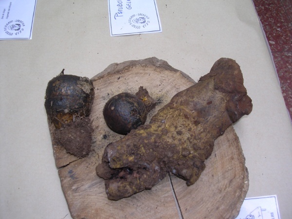 PISOLITUS TINCTORIUS